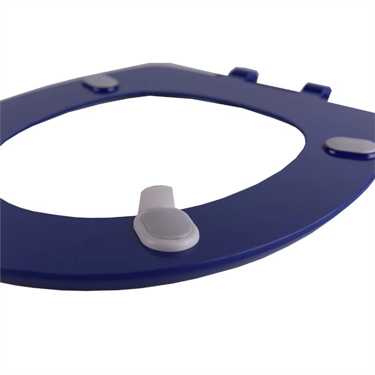blue round toilet seat