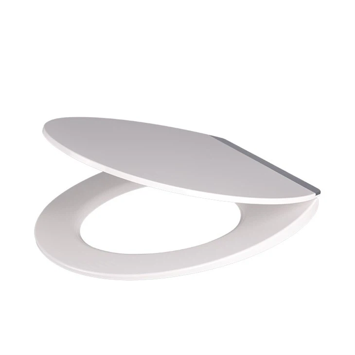 2 Chrome Bar toilet seat